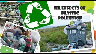 Plastic pollution...