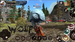 The wolf -GLYPTODON ||  Beautiful Champion 😍❗