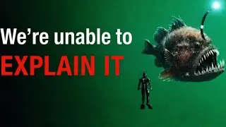 Why Deep Sea Creatures Look Scarier the Deeper You Go