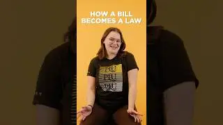 Как работает законодательное собрание штата Вашингтон #адвокация #Вашингтон #СпаситеСтуденческуюП...
