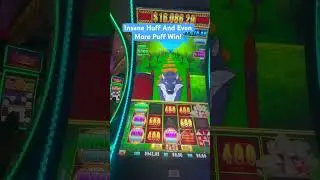 Insane Huff And Even More Puff Win! #huffandpuff #slots #casino #maxwin #highroller #bigwin