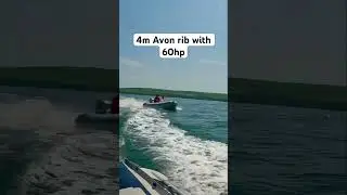 Avon rib ripping