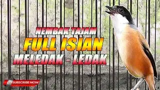 MASTERAN CENDET FULL ISIAN NEMBAK TAJAM PASTI DI LIRIK JURI