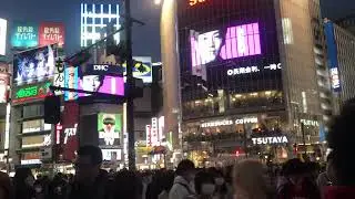 Shibuya Crossing Tokyo Rush Hour Cars Traffic in Japan with Busy Crowd of People