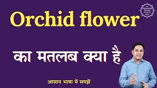Orchid flower meaning in Hindi | Orchid flower ka matlab kya hota hai | English to hindi