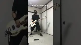 Red Hot Chili Peppers_Coffe Shop(Bass cover)52歳サラリーマン 17年ぶりにベース弾いてみた