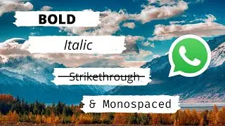 Bold, Strikethrough, Italic, And Monospaced in WhatsApp