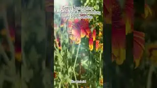 Gottes Neusch&ouml;pfung: Ein Gebet f&uuml;r Wiederherstellung und Transformation.