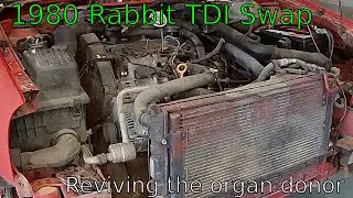 1980 Rabbit TDI Swap: Donor Prep