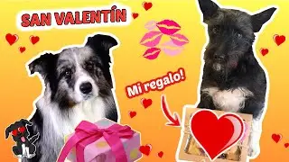 LANA recibe un REGALO DE SU NOVIO en SAN VALENTÍN!