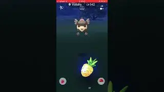 A wild Vullaby appeared! (Pok&eacute;mon GO) 96% IV Vullaby!