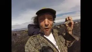 Skippy Licks Freaky 3D Shelter Point Rare Ancient Crab