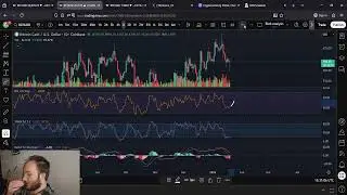 BCH Bitcoin Cash Decision Time