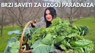 ПОМИДОР часть 2 - Быстрые Советы и Консервация