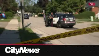 The psychology behind youth involvement in crime