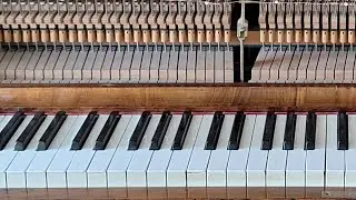 Piano Practice Session | random arpeggios and keys, building muscle memory of common chords