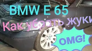 Самый эффективный способ удаления жуков БМВ Е 65