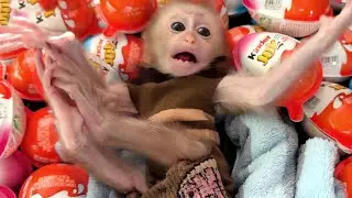 Monkey Baby RogSva Sleep ASMR Opening Kinder Joy Chocolate, Lollipops Candie surprise eggs