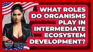 What Roles Do Organisms Play In Intermediate Ecosystem Development?