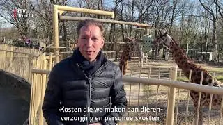 Dierentuinen blij met steunpakket, 'maar wat pas echt helpt is open kunnen'   [RTV Utrecht]