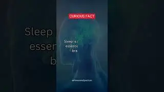 Random Facts | Curious Facts #quotes #facts #random #randomfacts #human #brain #humanbrain #active