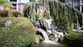 Home at Victoria BC's Premier condo development, 