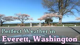 Driving in North Everett, WA