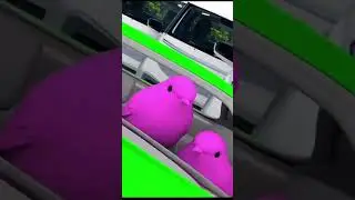 Keep on pushing#goofy#birds#driving