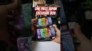 Part 2 | One Piece PRB Storage box
