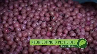 Farm Basics #987 Neonicotinoids (Air Date 3-5-17)