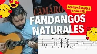 ✅ COMO ACOMPAÑAR FANDANGOS NATURALES