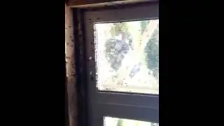 Опанцы