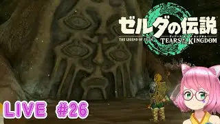 【ゼルダの伝説 ティアーズオブザキングダム】今夜もまったりいきましょ #26
