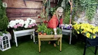 Приподнятая грядка Vegtrug Cedar Wood Wallhugger на QVC