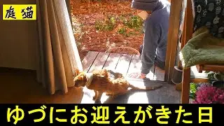 【庭猫】ゆづにお迎えがきた日