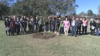 Lafayette celebrates Arbor Day with tree-planting event at Mouton Park