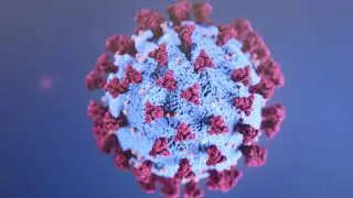 Your Healthy Family: Coronavirus and it's tie to your eyes and pink eye