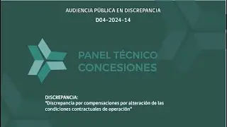 Audiencia Pública en Discrepancia D04-2024-14