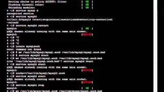 How to restart a nginx server & mysql, putty comand