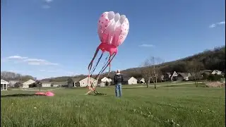 Two Jellyfish Kites