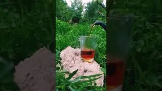 eating tea in nature #shorts #asmr