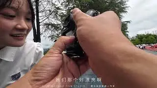 在夏天遇见，在夏天告别，这个夏天我们毕业了！ #毕业季 #我们毕业了 #约拍 #林克猫猫 #思南职校