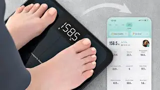 Review: Etekcity Smart Scale  | Body Weight, BMI, Body Fat, Bluetooth Health Tracking at Home