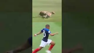 Mbappe Running speed !! Cheetah vs mabappe #viralshorts #mbappe