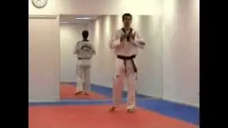 Taekwondo Examen Marrón Programa Obligatorio UN
