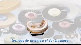 HATHO Lustrage de zircon et de céramique dentaire (Version française)