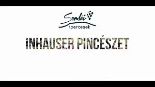 Soml&oacute;i 1percesek 17. r&eacute;sz Inhauser Pinc&eacute;szet