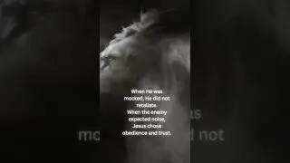Silence Is a Weapon When the Enemy Attacks