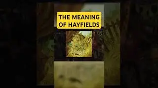 HAYFIELDS MEANING #yaelokre #harpyhare #viral