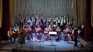 Концерт Ани